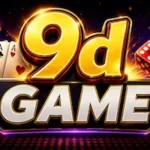 9d Game